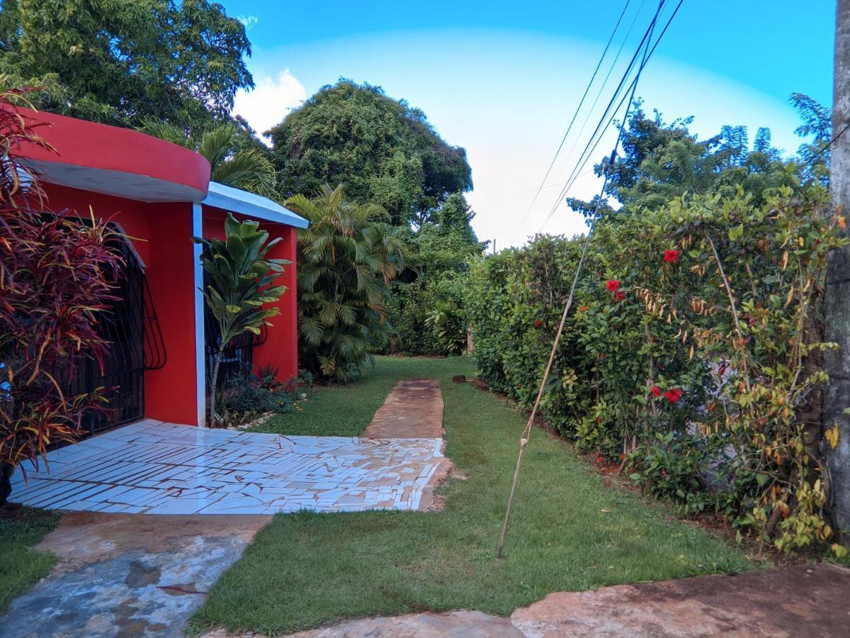 Las Galeras Island Hostel Buitenkant foto